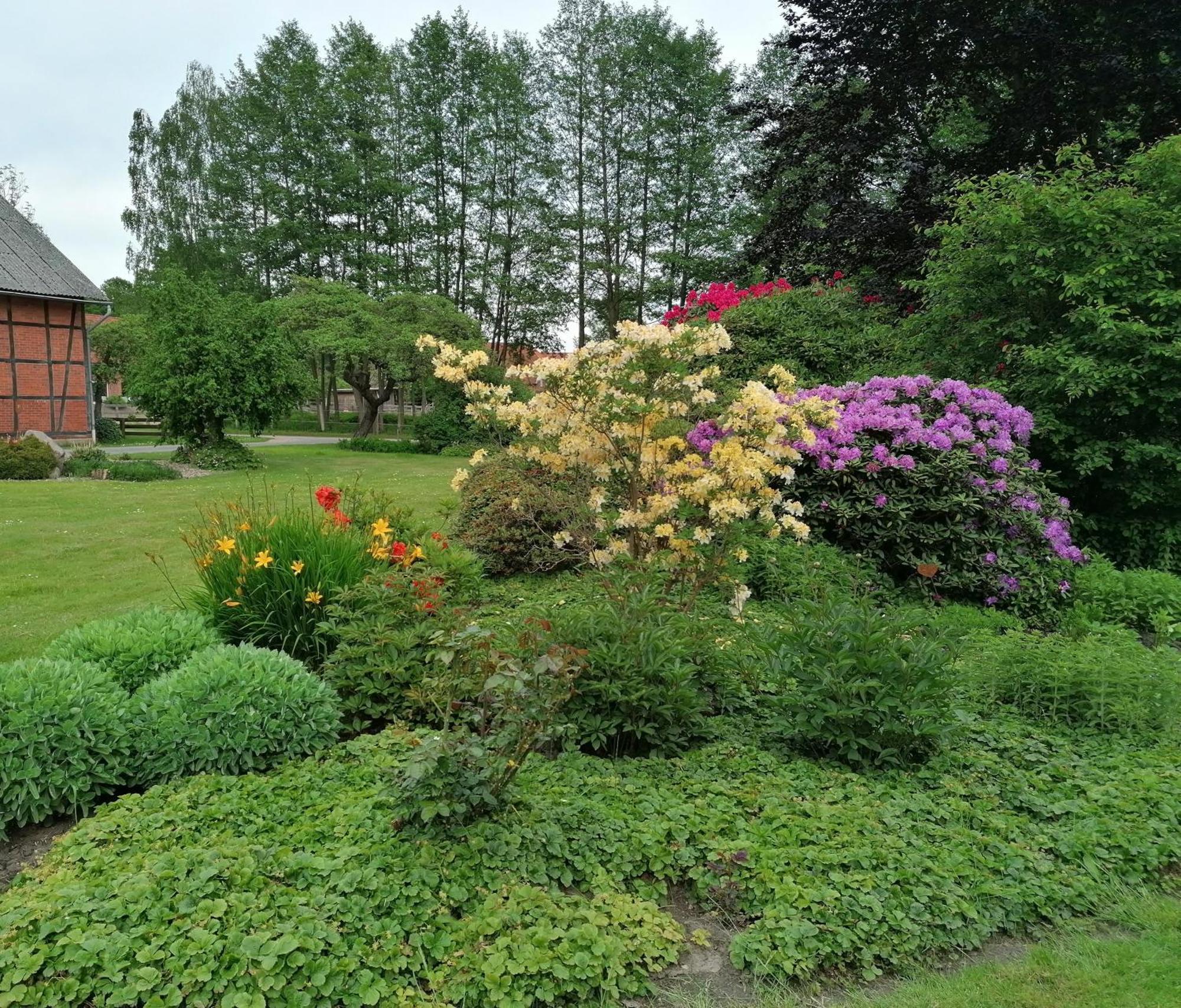 Ferienwohnung Am Teich ダンネンベルク エクステリア 写真